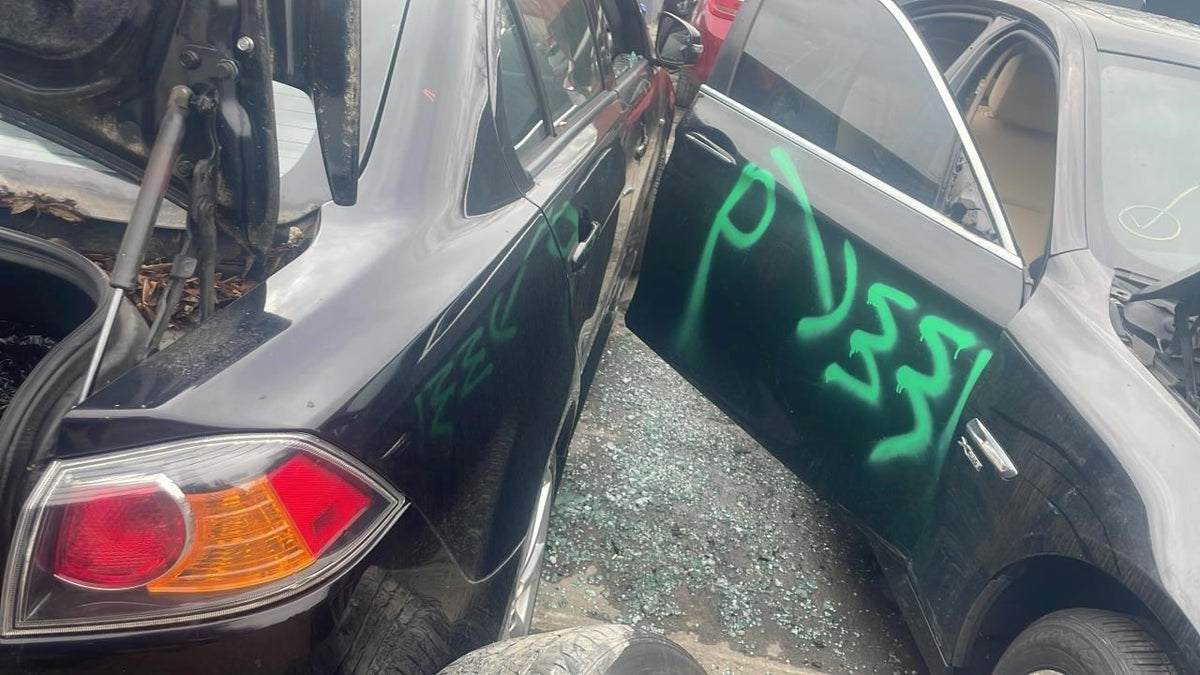 Image #15
