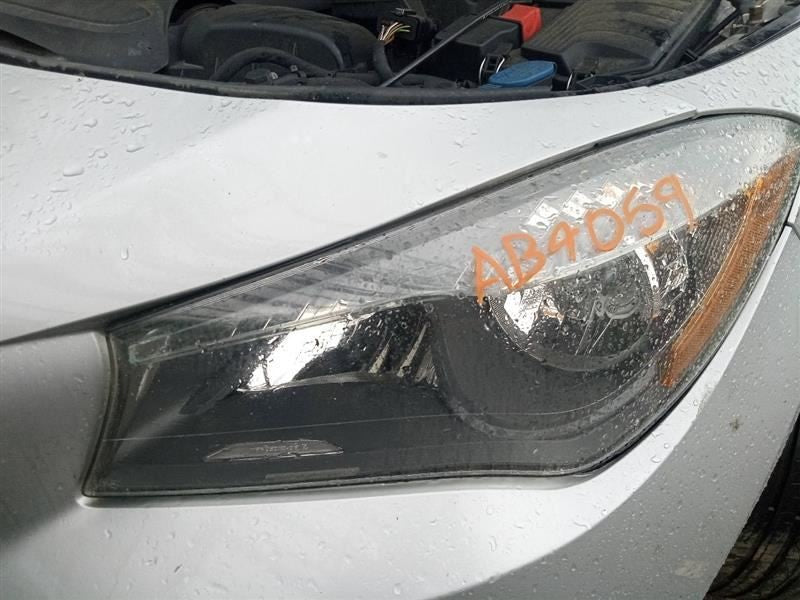 Image #12