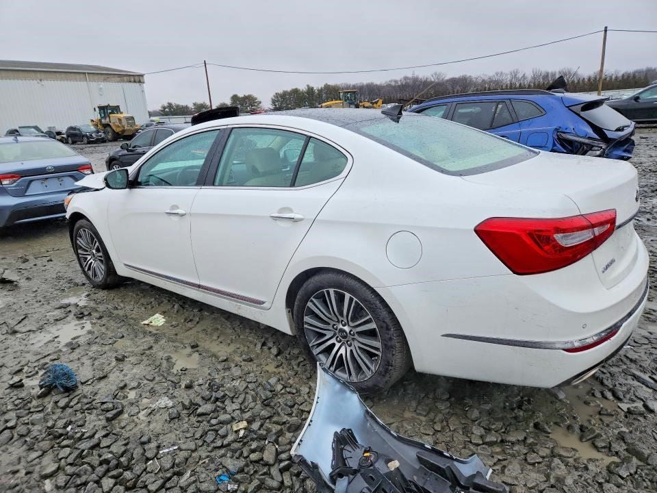 Image #9