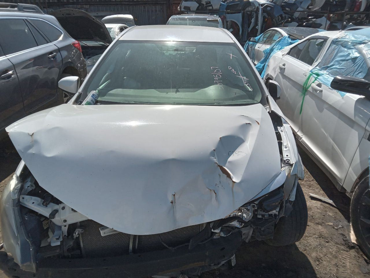 Image #12