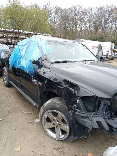 Image #14
