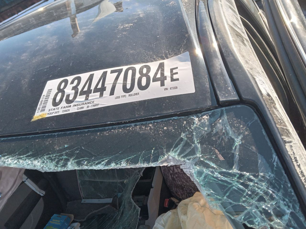 Image #7