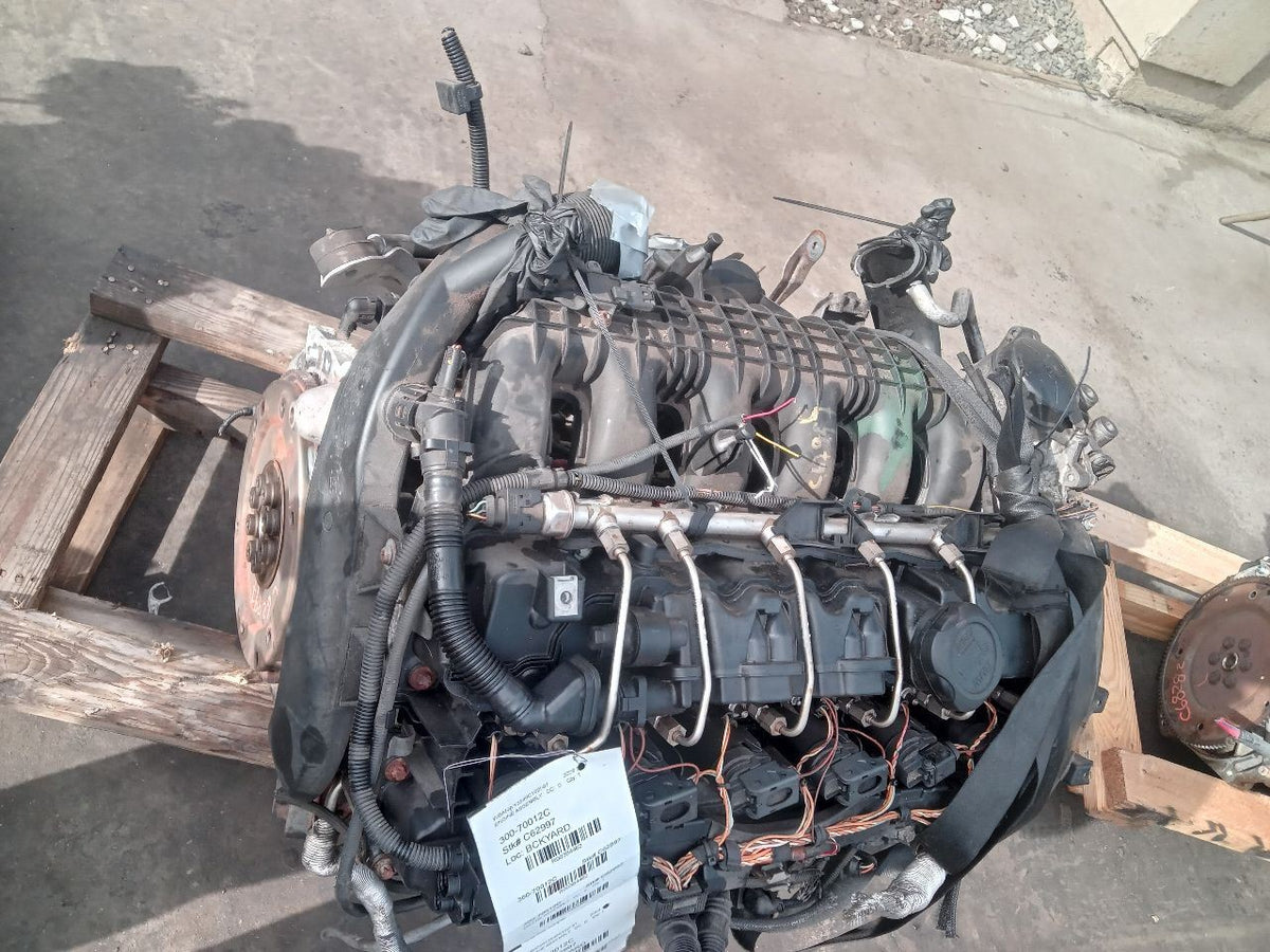 Image #6
