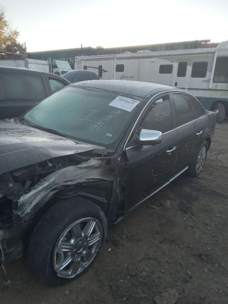 Image #11