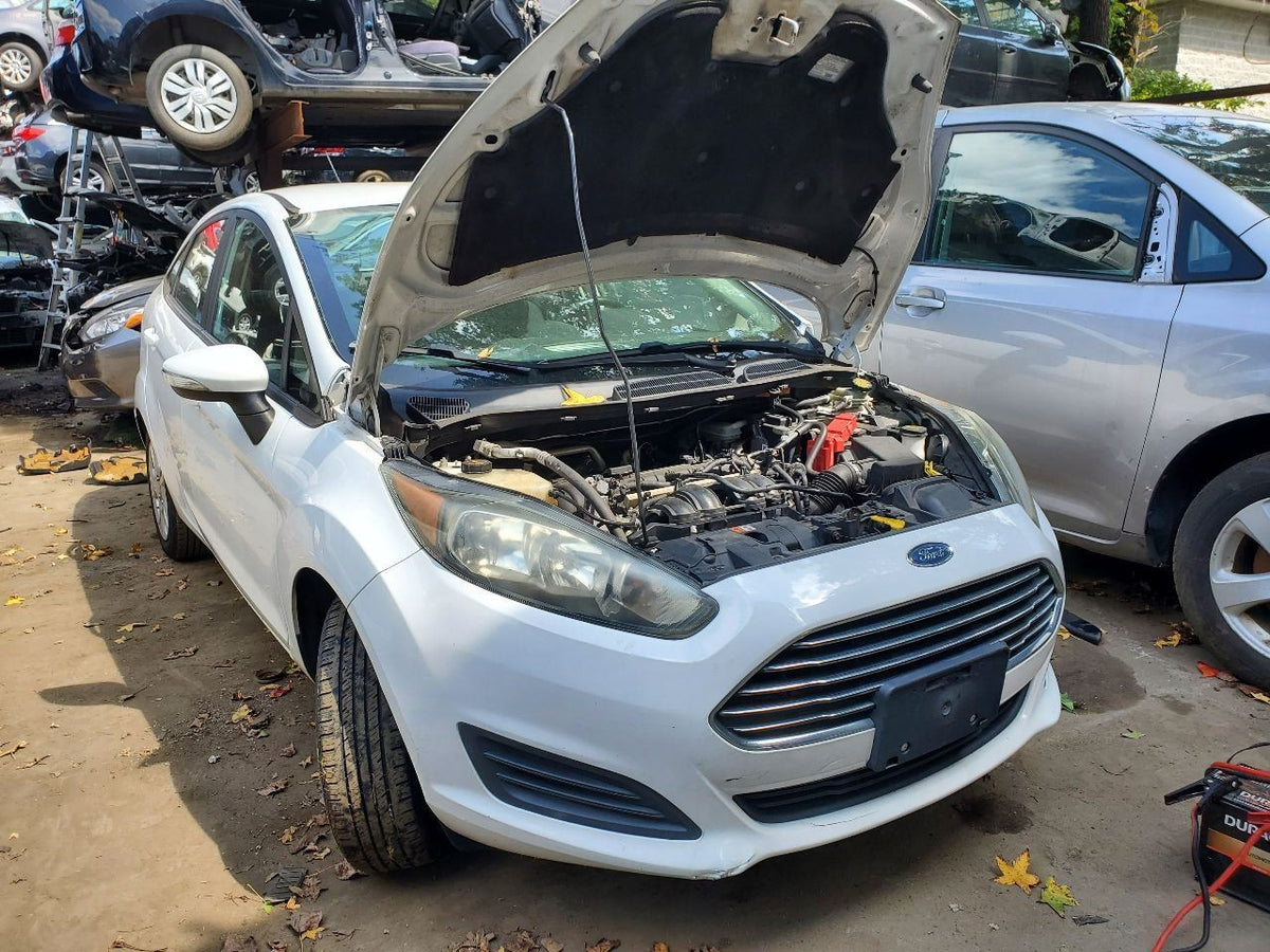 Image #9