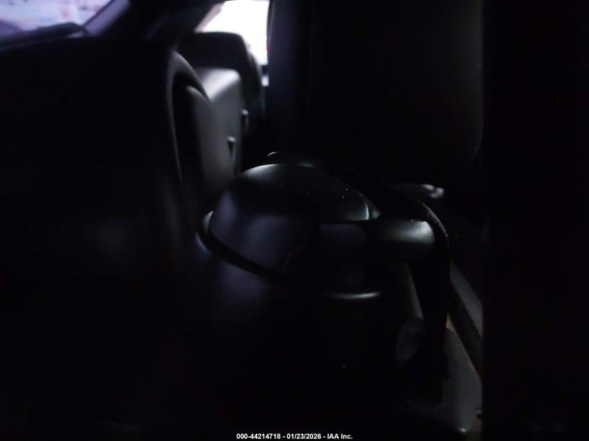 Image #19