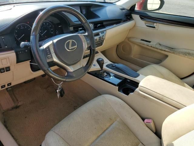 Image #10