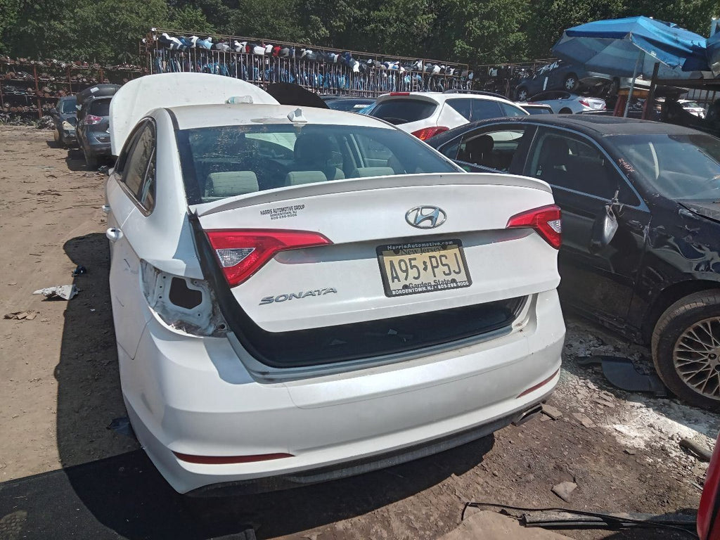 Image #16