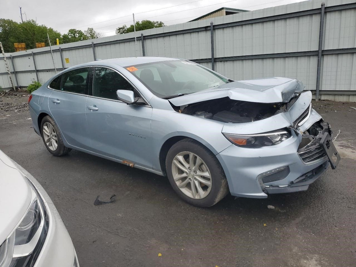 Image #12