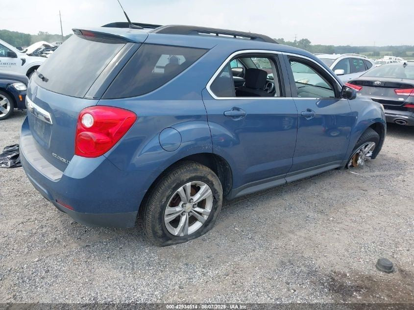 Image #10