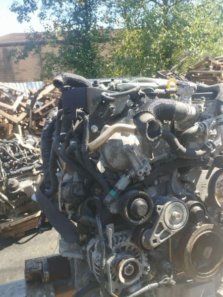 Image #13