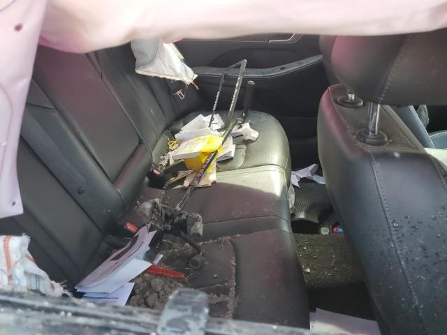 Image #16