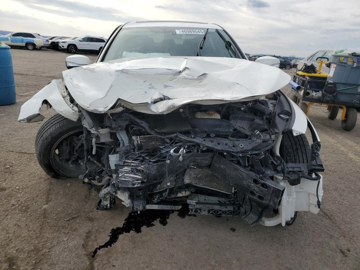 Image #5