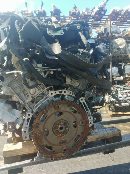 Image #19