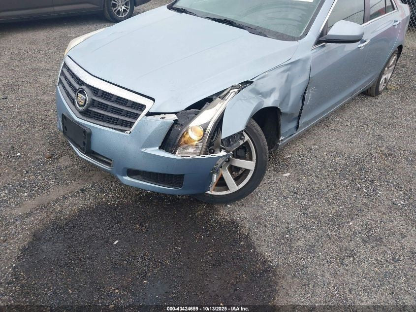 Image #13