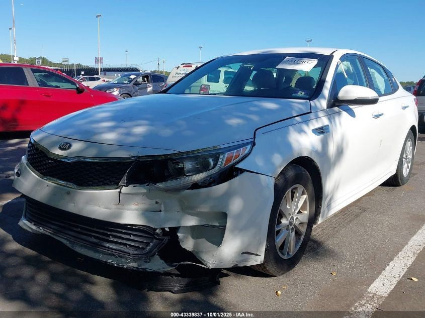 Image #12