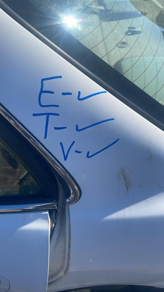 Image #12