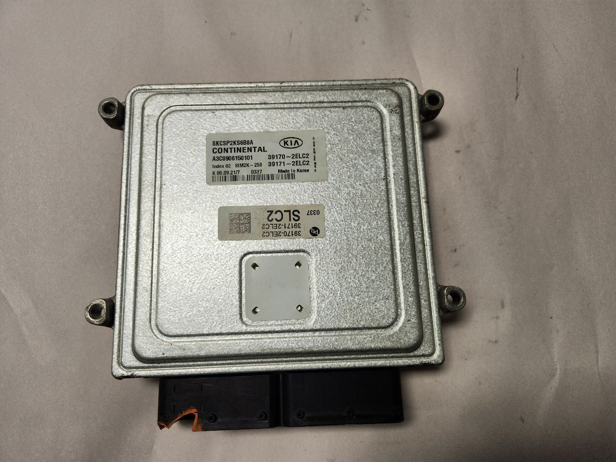 Image #2
