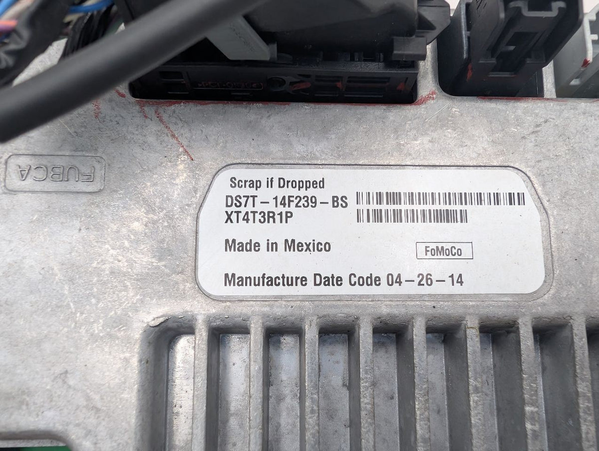 Image #4