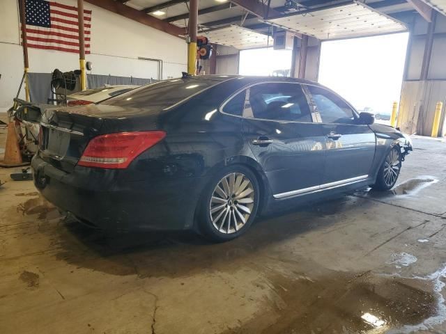 Image #7