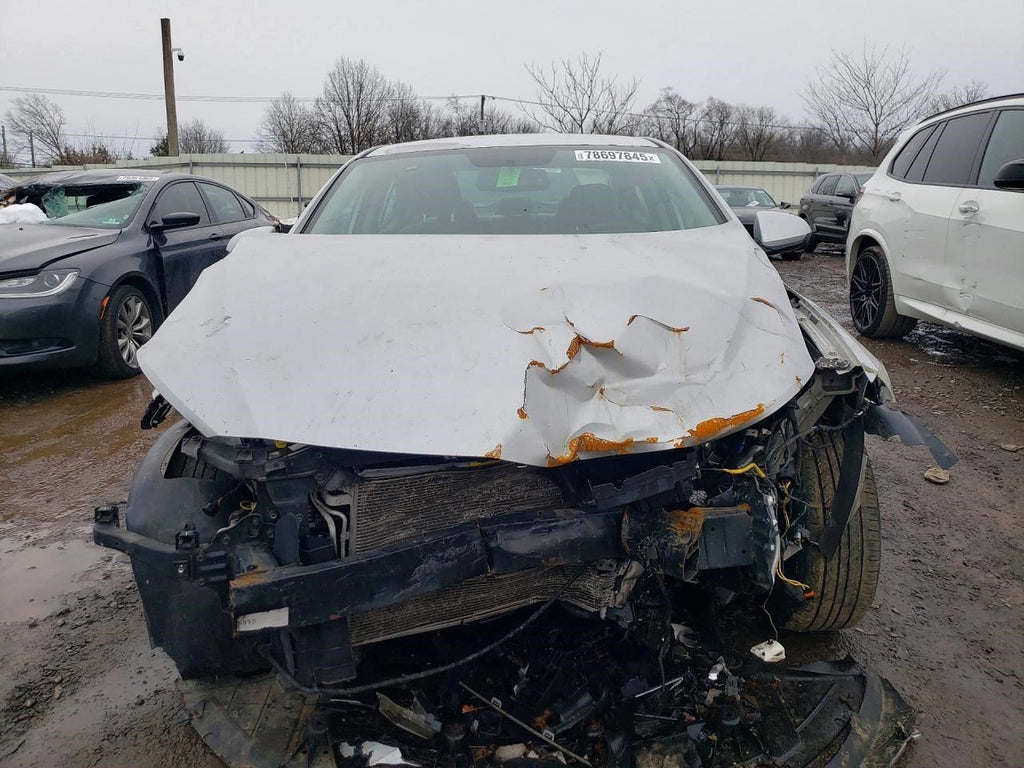Image #10