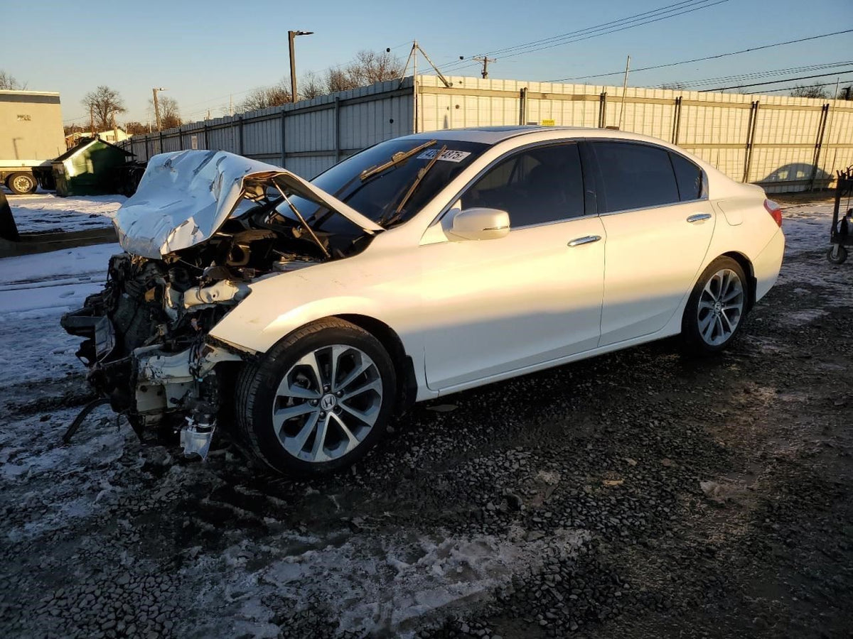 Image #1