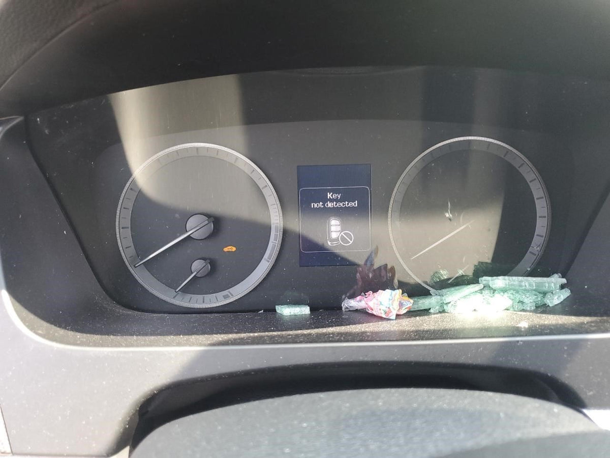 Image #16