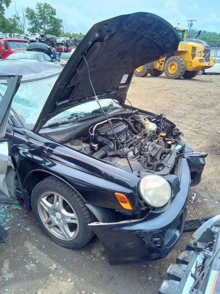 Image #13