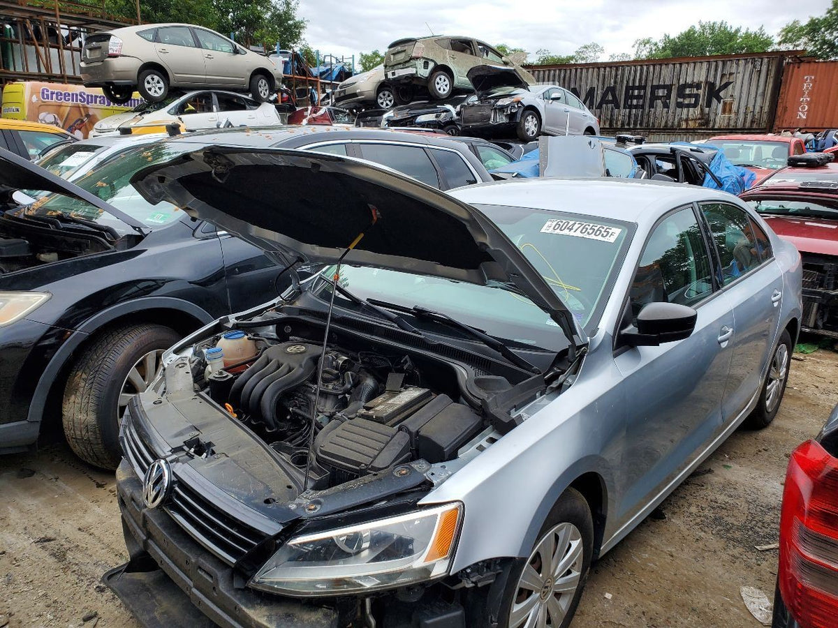 Image #15