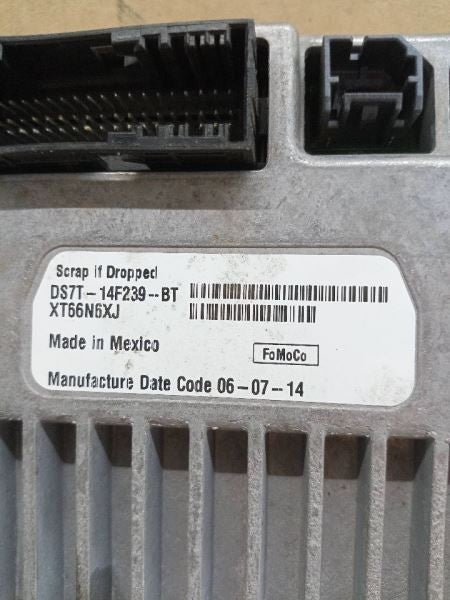 Image #7