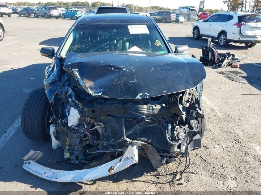 Image #8