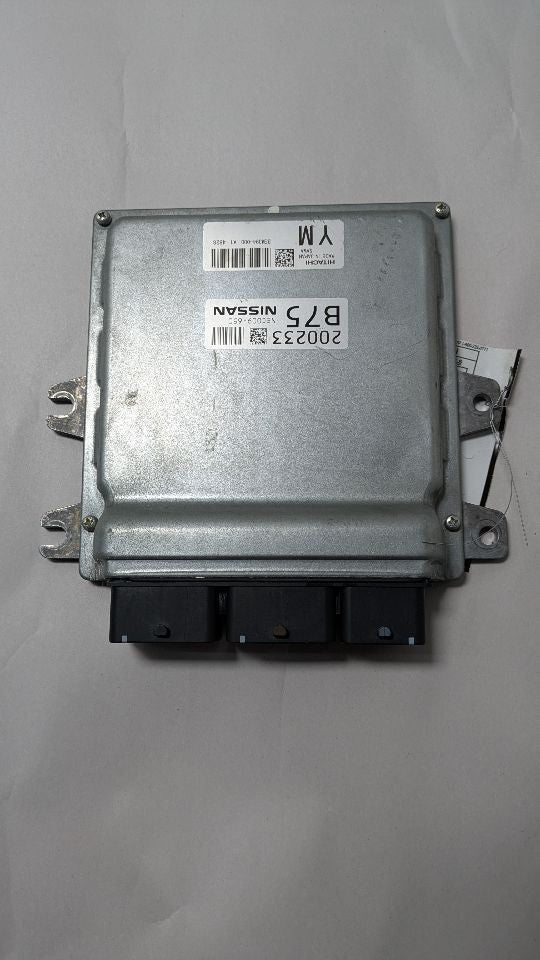 Image #3