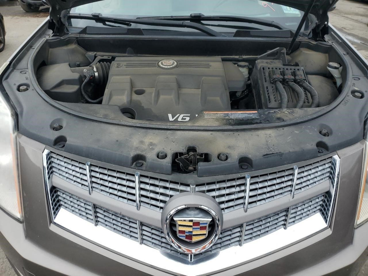 Image #16
