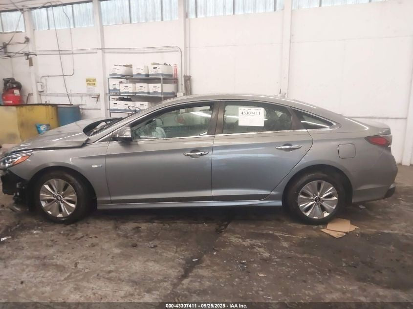 Image #16
