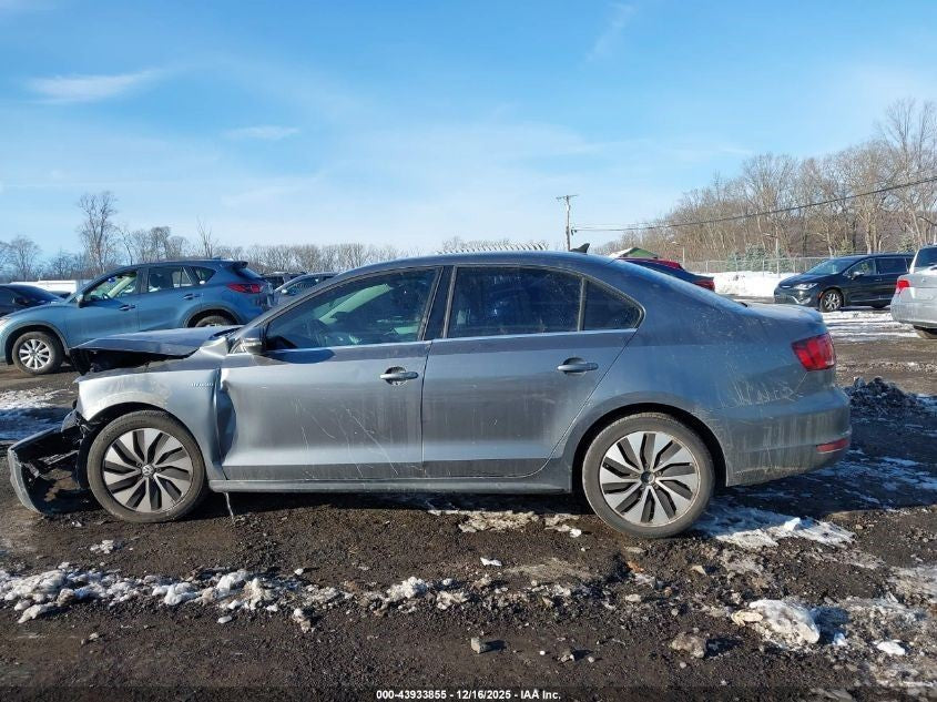 Image #8