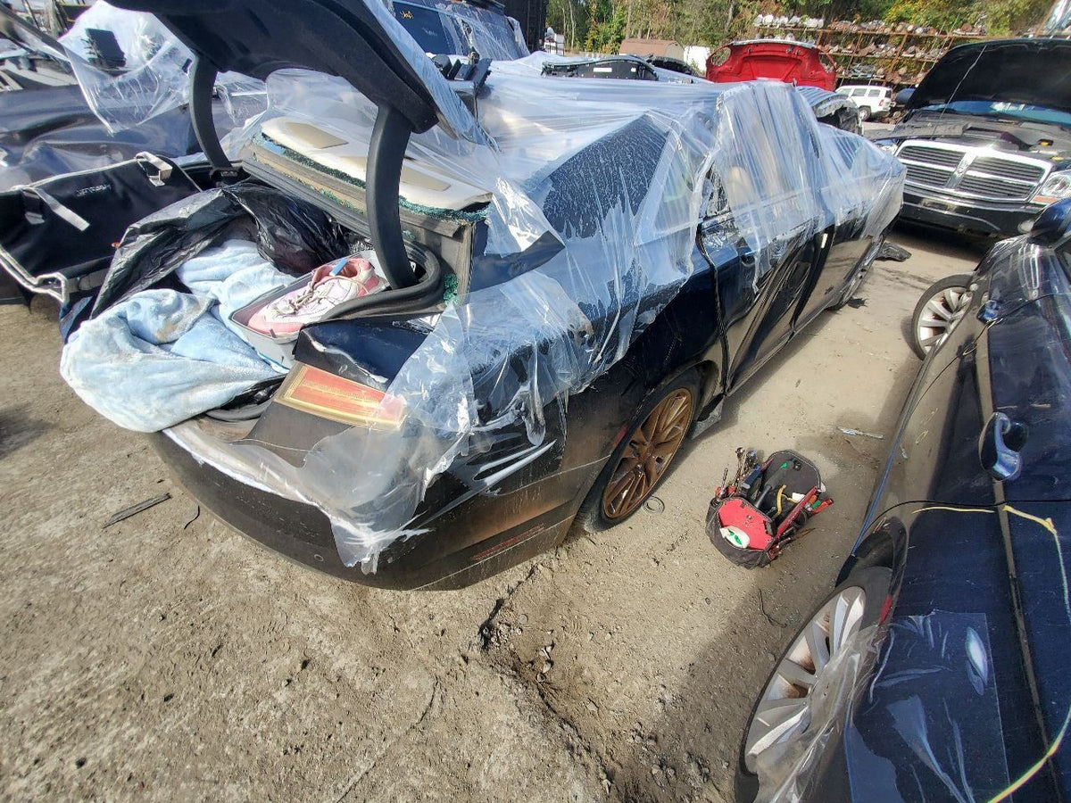 Image #8