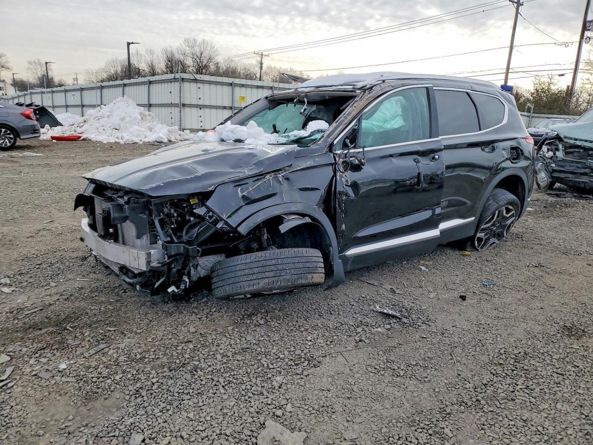 Image #5