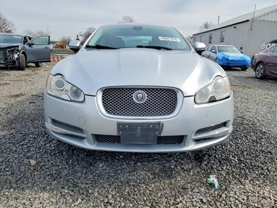Image #12
