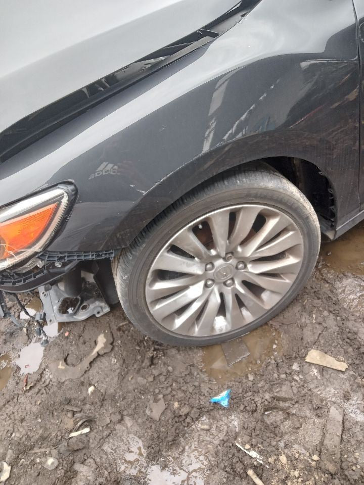 Image #13