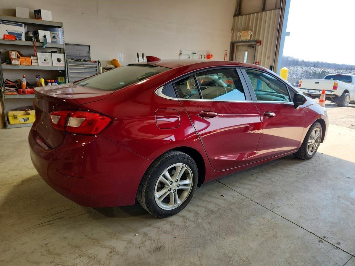 Image #7