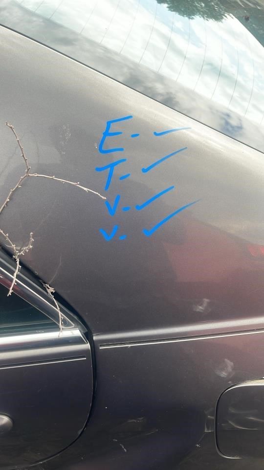 Image #19