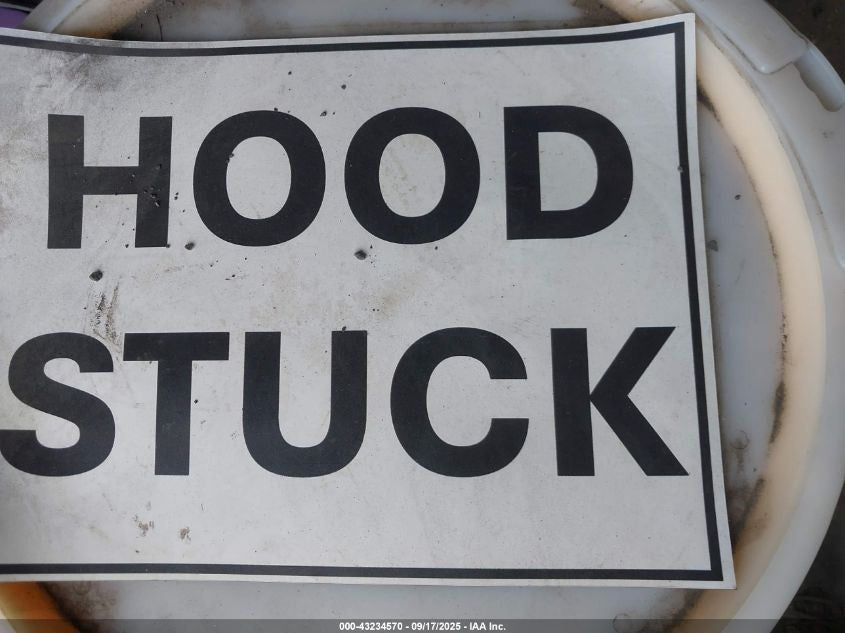 Image #22