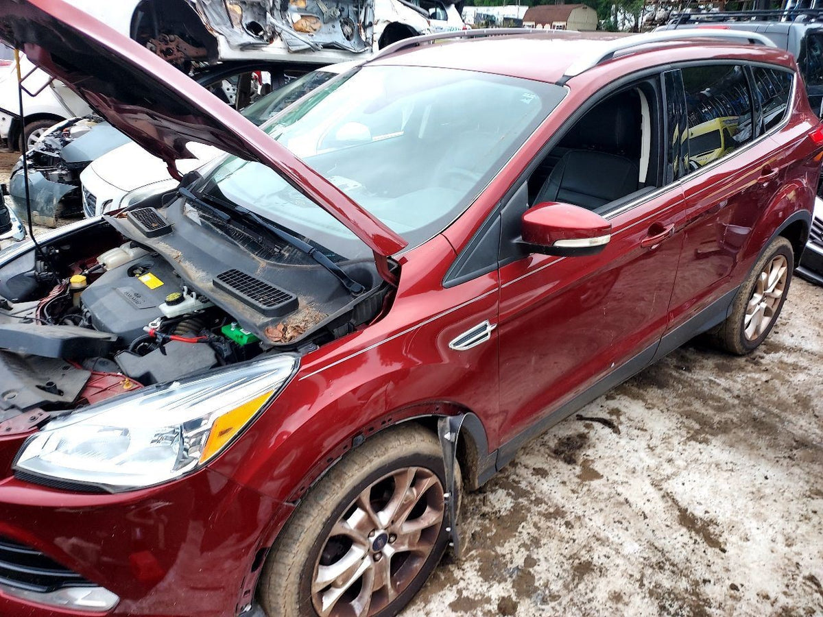 Image #11