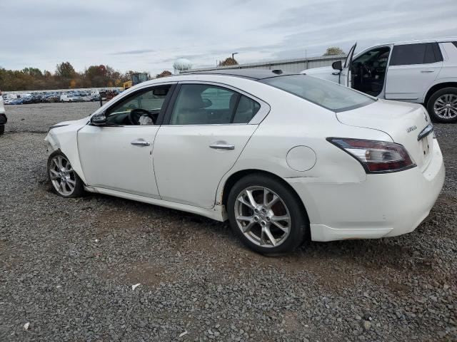 Image #7