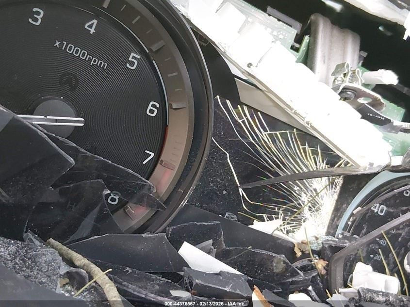 Image #18