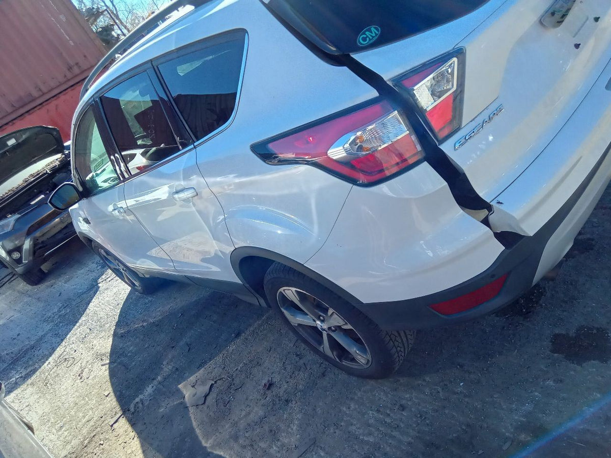Image #8