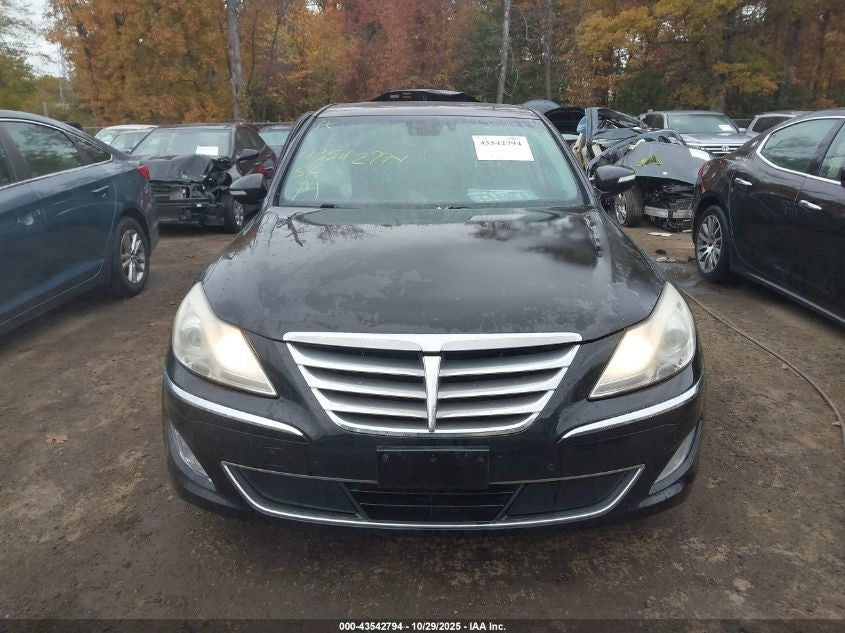 Image #8